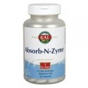 ABSORB-N-ZYME