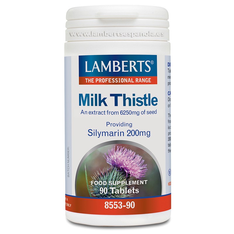 CARDO MARIANO 6250 MG LAMBERTS