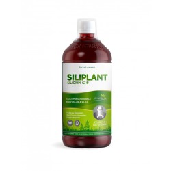 SILICIO G5 SILIPLANT 1000 ml